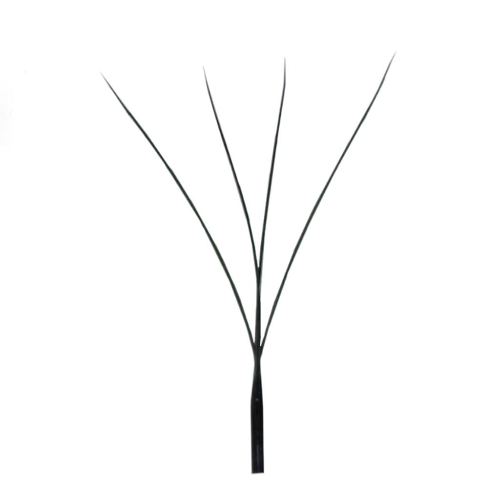 New W 4D lash extension close up showing smaller angle and natural extended tip shape