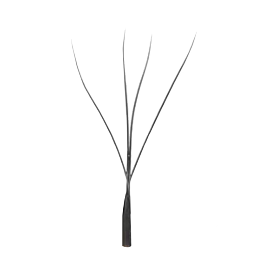 Old W 4D lash extension close up showing wider angle and wineglass tip shape