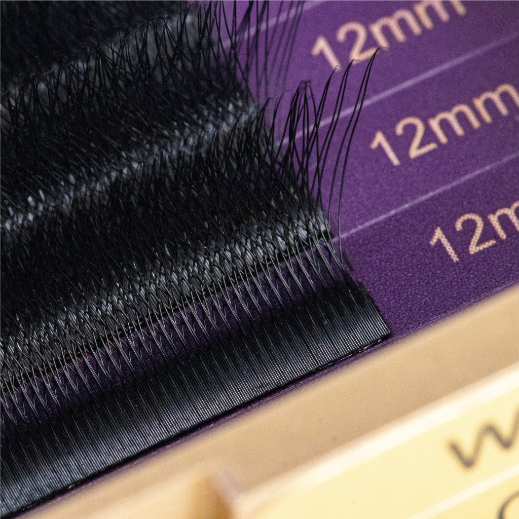 Detail of W-5D lash roots, showing uniform thickness and high-density volume