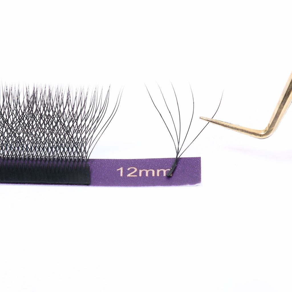 High-density W-5D eyelash extensions with W-shaped fans, designed for dramatic volume and professional salon use