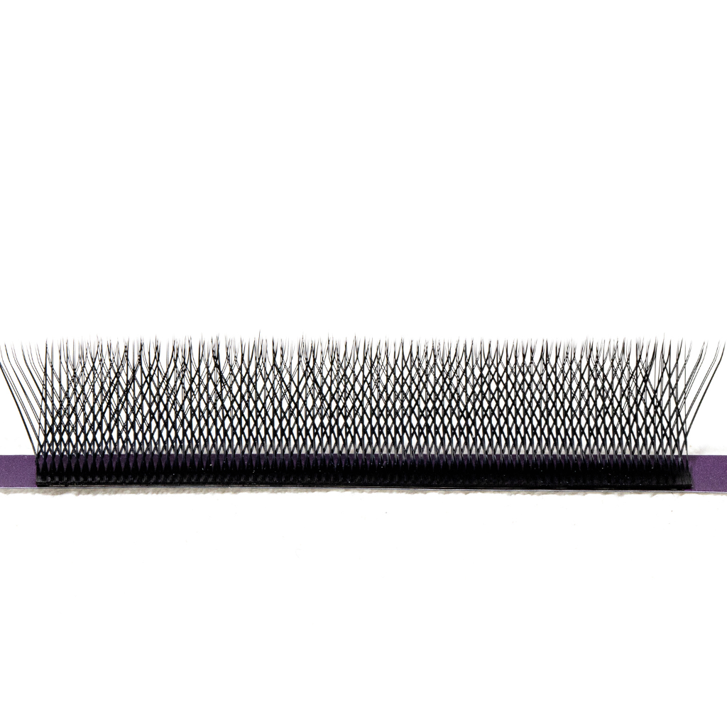 Dense W-6P lash rows with stable pressed base