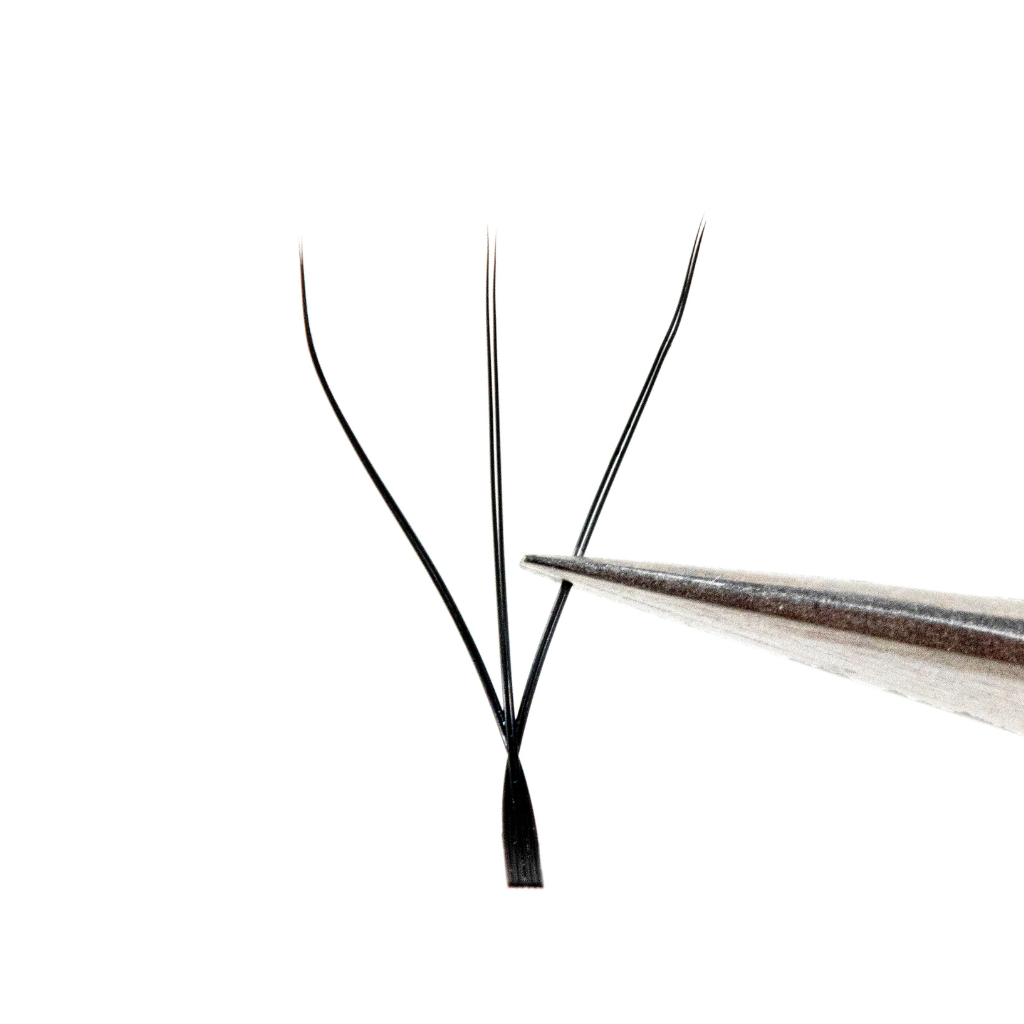 Easy pickup W-6P volume lashes fan formation