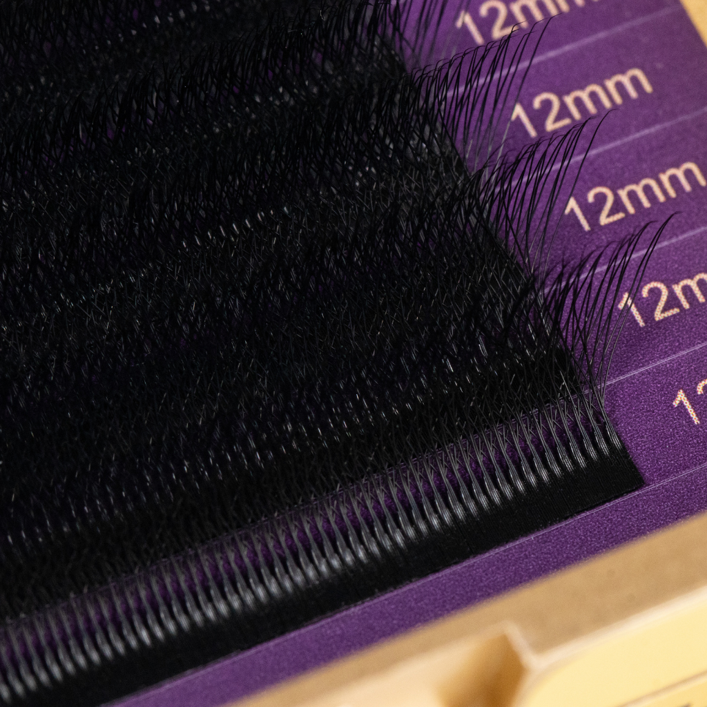 Ultra-black matte W-6D lash extensions texture