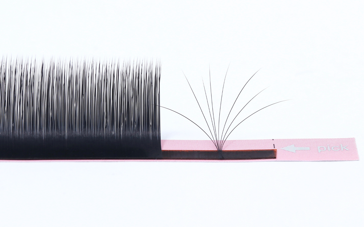 Camellia Lash Fans