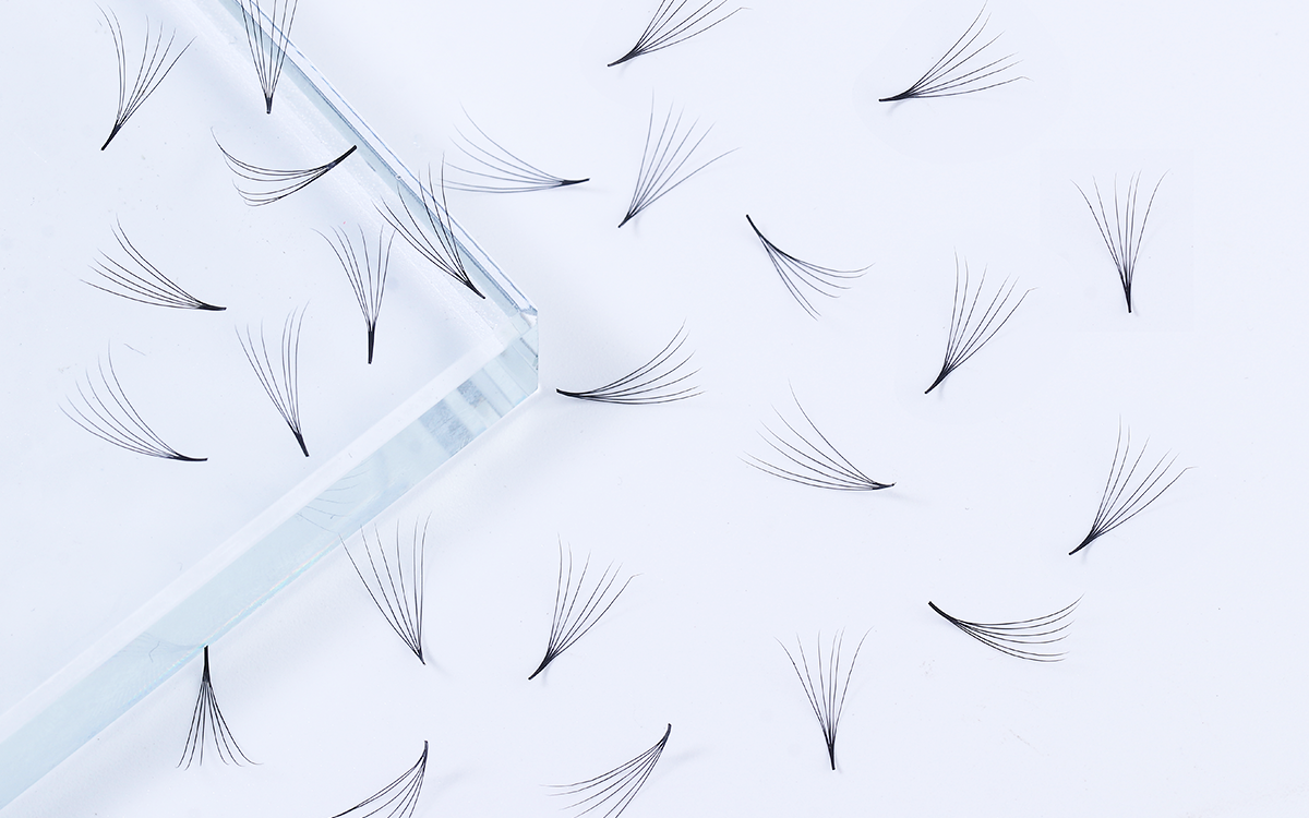 6D Volume Lash Consistent Fan Shape