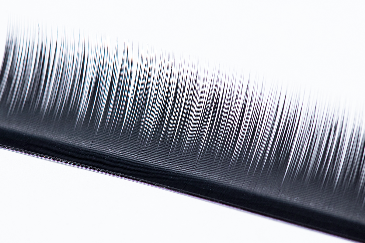 Tightly packed rows of eyelashes