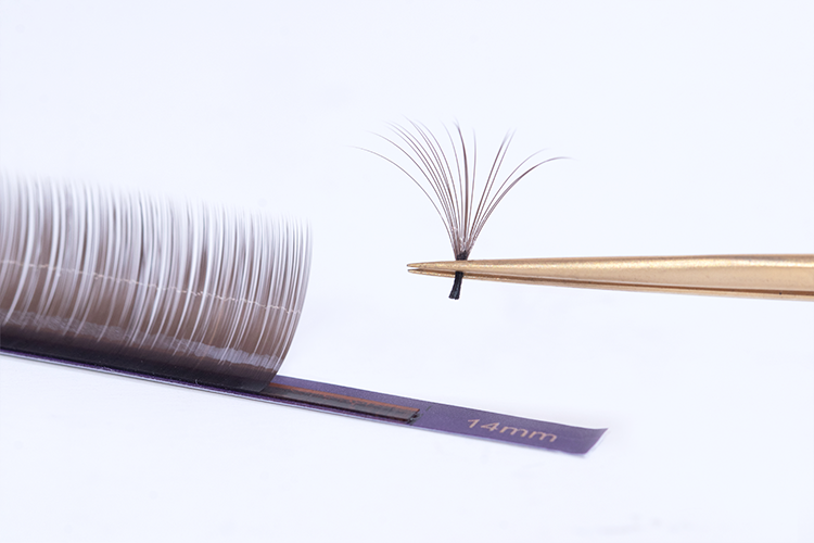 Deep Dark Brown Lash Fan