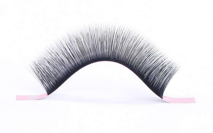 Camellia Lash thickness