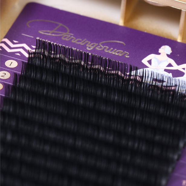 Full Volume Lashes