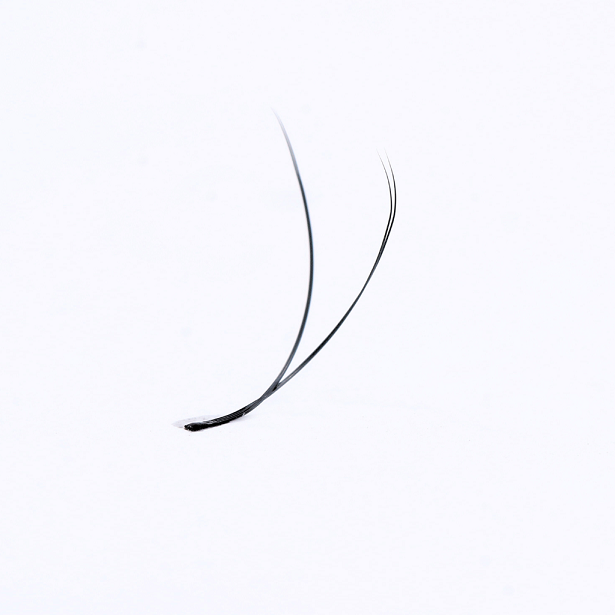 Single YY Lash Fan