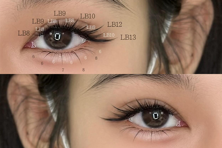 LB fox lashes