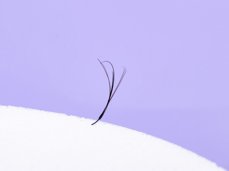 Brown YY Lashes for Softer Arabian Looks