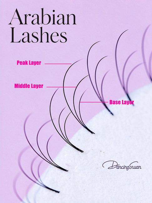Layered Structure of Arabic Lashes